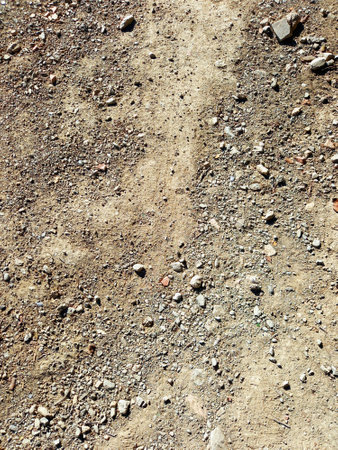 Close up of gravel on dry ground. Stony ground. Earth ground with small stones. Gravel on the ground.の写真素材