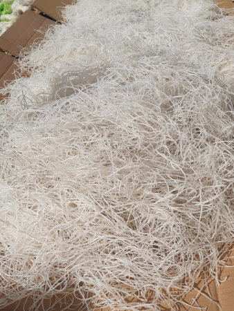 Bun Gao, Vietnamese round rice noodles. Raw, dry, uncooked noodles. Asian cuisine.の写真素材