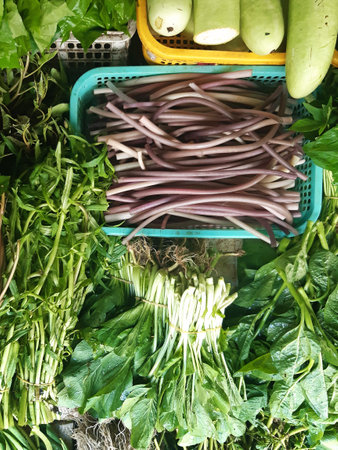 Variety of leafy green vegetables for sale at the market. Fresh vegetable market, a variety of agricultural products produced by farmers in Asia.の写真素材