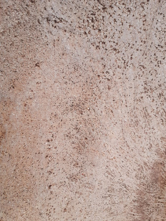 Rough beige surface. Abstract earthy texture. Light cream-colored uneven background.の写真素材