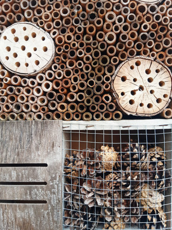 Insect hotel outdoor close-up. Front view of a bug hotel or insect house. Man-made structure created to provide shelter for insects. Biodiversity conservation.の写真素材