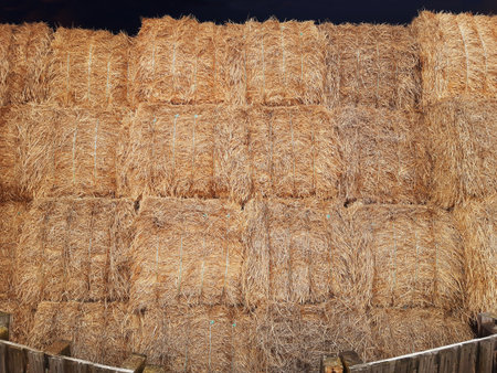 Background of straw rolls stored in a hayloft. There are bales stacked in a warehouse. Close-up of...