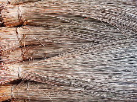 Straw broom background. Dry straw full frame. Coconut leaf broom texture. Detail of heather brooms...