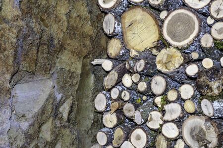 Firewood logs stacked up on top of each other in a pile and wallの写真素材