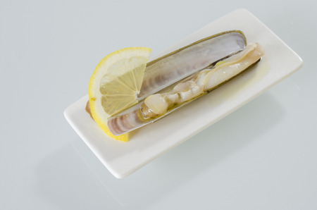 White dish of grilled razor clams with lemon and oil olive.の写真素材