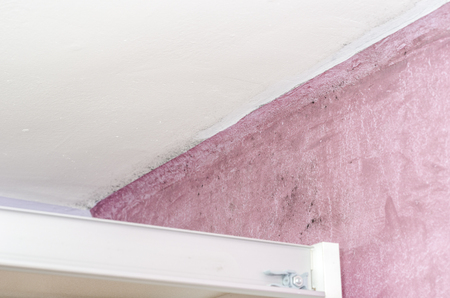 Mold and moisture buildup on pink wall of a modern house.の写真素材