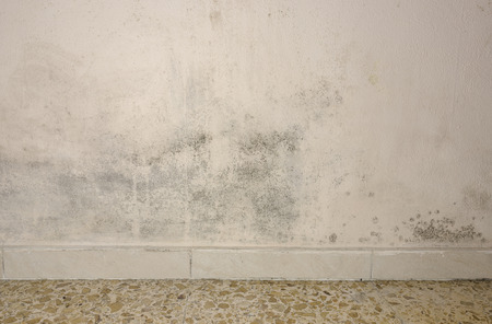 Mould and moisture build up on a wall.の写真素材