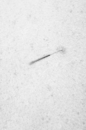 Chinese medicine doing acupuncture to man patient in silhouette studio.の写真素材