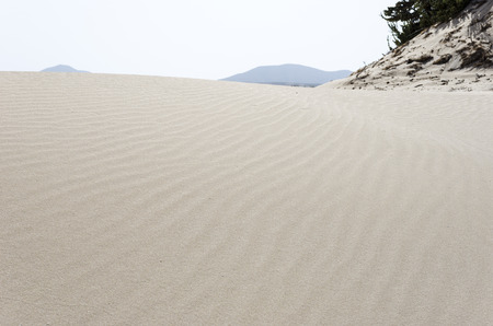Sand dune in the Natural-park, Corralejo , Fuerteventura, Canary Islands, Spain.の写真素材