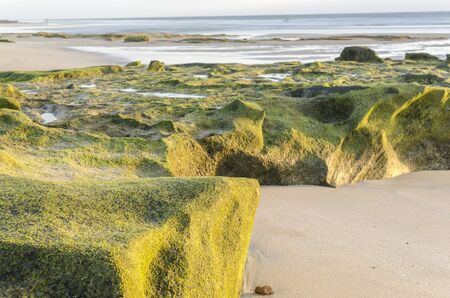 Rocky Coastline With Turquoise Lagoons - El Cotillo, Fuerteventura, Canary Islands, Spain.の写真素材