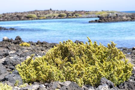 Lobos Island in Canary Islands, Spainの写真素材