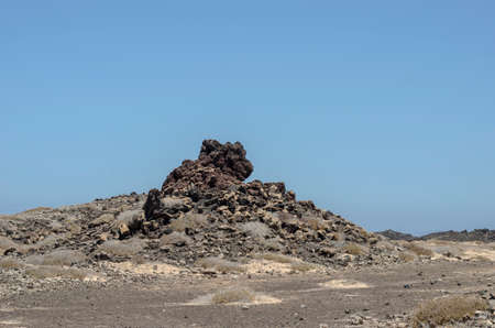Flora of Lobos Island in Canary Islands, Spain.の写真素材