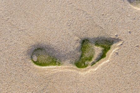 People leave tracks on sand beach El Cotillo, Fuerteventura, Canary Islands, Spain.の写真素材