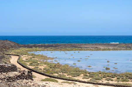 Flora of Lobos Island in Canary Islands, Spain.の写真素材