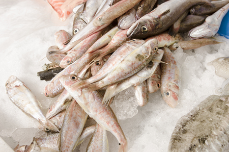 Fresh seafood on ice at the fish market.の写真素材