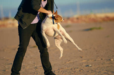 Woman playing with her dogs on a beach.の写真素材