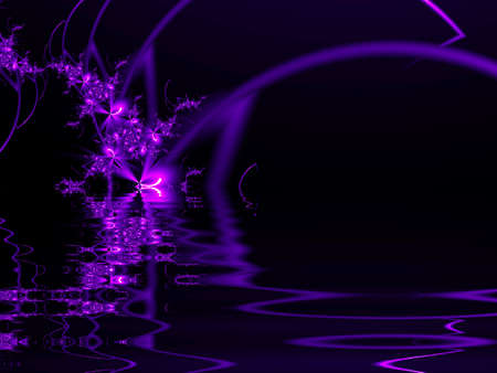 Purple fractal flowers with lake effect on black backgroundの写真素材