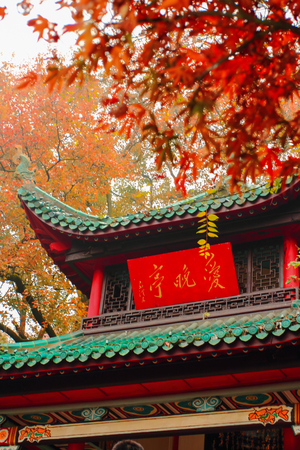 Love late Pavilionのeditorial素材