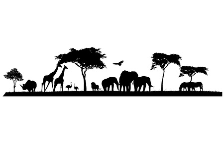 silhouette of wildlife safariのイラスト素材