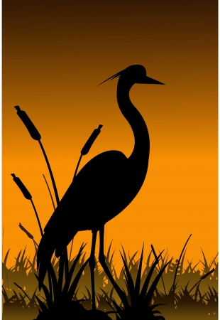 heron silhouette のイラスト素材