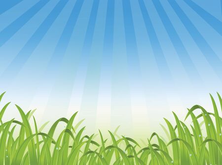 beautiful grass backgroundのイラスト素材