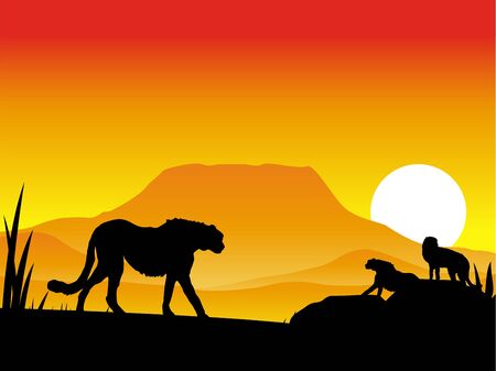 cheetahs silhouette illustration with background sceneryのイラスト素材