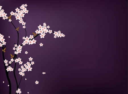 beauty sakura flowerのイラスト素材