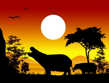 beauty hippo silhouettes with landscape backgroundのイラスト素材