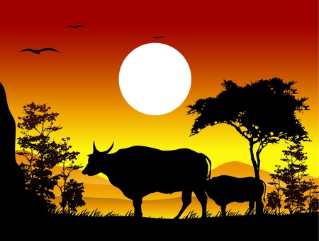 beauty cow silhouettes with landscape backgroundのイラスト素材