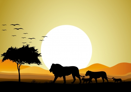 beauty lion family silhouette with sunset backgroundのイラスト素材