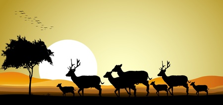 beauty deer family silhouette with sunset backgroundのイラスト素材