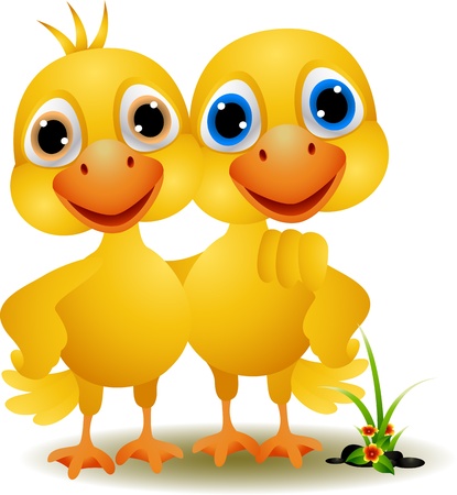 a pair of ducks in a friendlyのイラスト素材