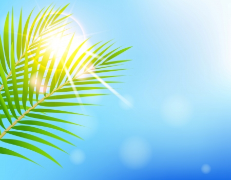 beauty Sunny blue sky and palm treeのイラスト素材