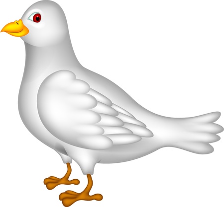 white dove cartoonのイラスト素材