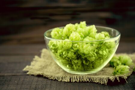 Close up of green ripe hop cones in a glass bowl over dark rustic wooden background. Beer production ingredient. Ingredients for the preparation of organic beer. Brewing.の写真素材