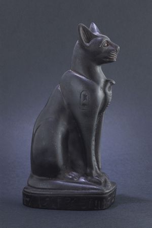 Black Egyptian cat on black backgroundの写真素材