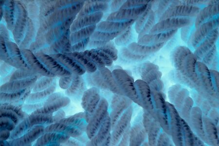 Rope toned in blueの写真素材