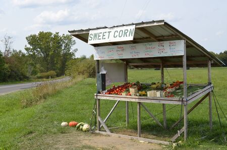 Roadside vegetable stand on a rural Michigan roadway