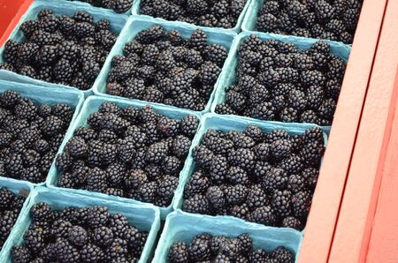 Fresh organic Blackberries for sale at a local outdoor market の写真素材