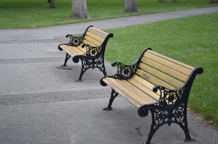 Wooden bench for relaxing in the park