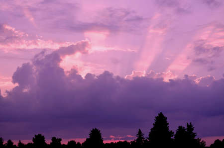 Evening clouds and summer storm