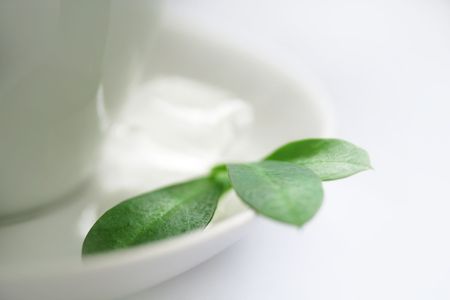 white cup of tea over white, green bit of iceの写真素材