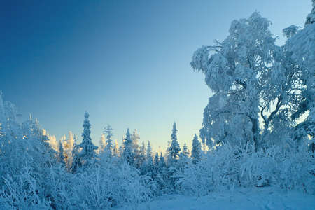 Winter blue pastel landscape, sunsetの写真素材