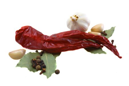 Various spices on a white backgroundの写真素材