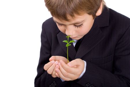 Small green plant in children's palms, isoletedの写真素材