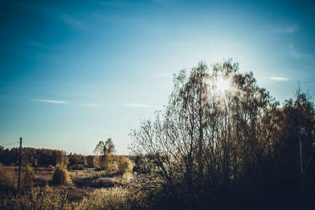 Beautiful landscape of Russian nature. Glare of rays of sun through the foliage of the crown of trees against the blue sky. Old meadow photo in the background forest Spring day sunset Recreation areaのeditorial素材