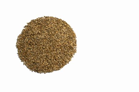 Grains of wheat, barley, rye, oat on white background close up, natural dry grain in the form of a...