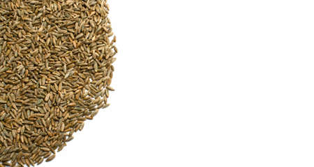 Grains of wheat, barley, rye, oats on white background close-up, natural dry grain in form of even semicircle or sun on left side,  seeds, isolated, top view. Free space for text. Banner for web siteの写真素材