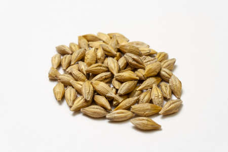 Barley malt on a white background. Heap of cereal grains isolated close up. Seeds of barley, wheat, oats, rye, triticale macro shooting. Natural dry grain in the center of the imageの写真素材