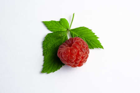 One ripe raspberry isolated on white background close-up. Beautiful red fresh raspberries with...